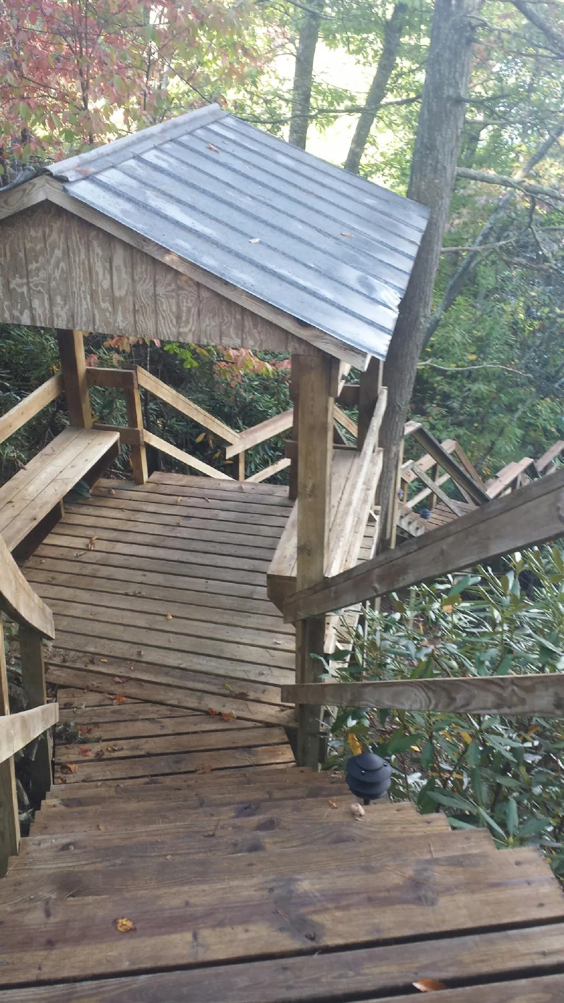 Metal roofed shelter over wooden steps on a wooded walkway — Skylight Repair & Installation work by our crew in Fair Bluff